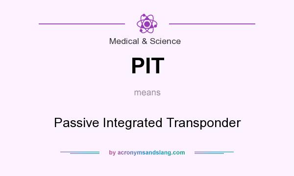 What does PIT mean? It stands for Passive Integrated Transponder