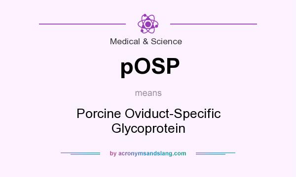 What does pOSP mean? It stands for Porcine Oviduct-Specific Glycoprotein