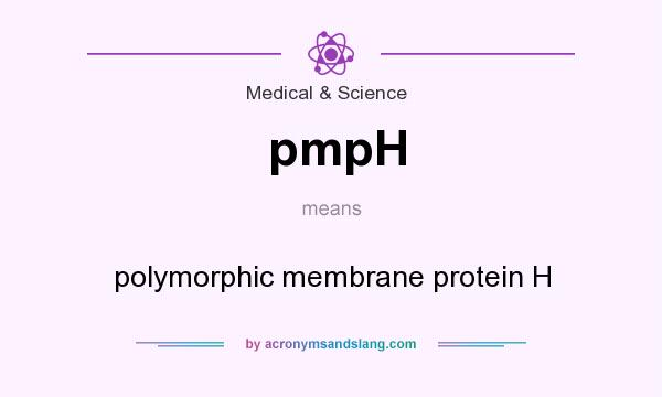 What does pmpH mean? It stands for polymorphic membrane protein H