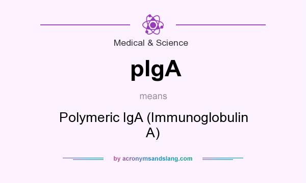 What does pIgA mean? It stands for Polymeric IgA (Immunoglobulin A)