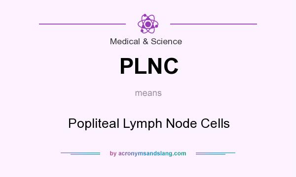 What does PLNC mean? It stands for Popliteal Lymph Node Cells