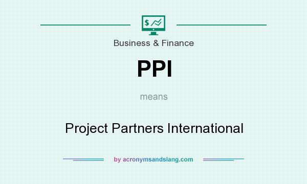 What does PPI mean? It stands for Project Partners International