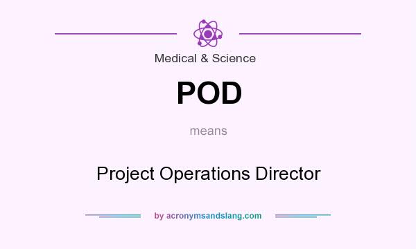 What does POD mean? It stands for Project Operations Director