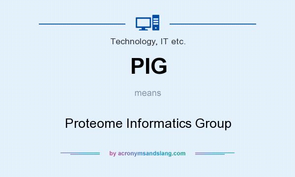 What does PIG mean? It stands for Proteome Informatics Group