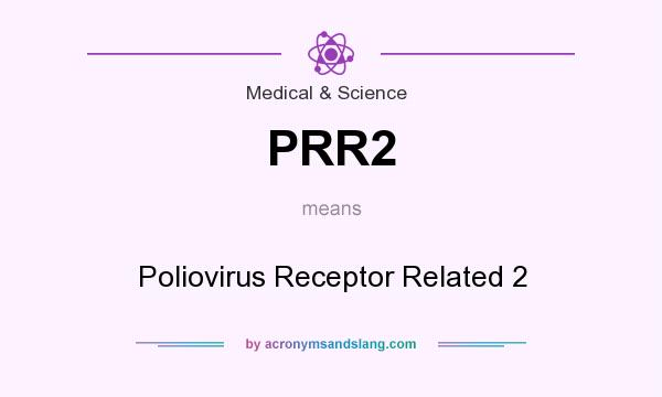 What does PRR2 mean? It stands for Poliovirus Receptor Related 2