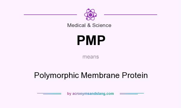 What does PMP mean? It stands for Polymorphic Membrane Protein