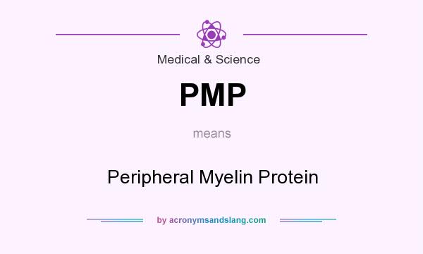 What does PMP mean? It stands for Peripheral Myelin Protein