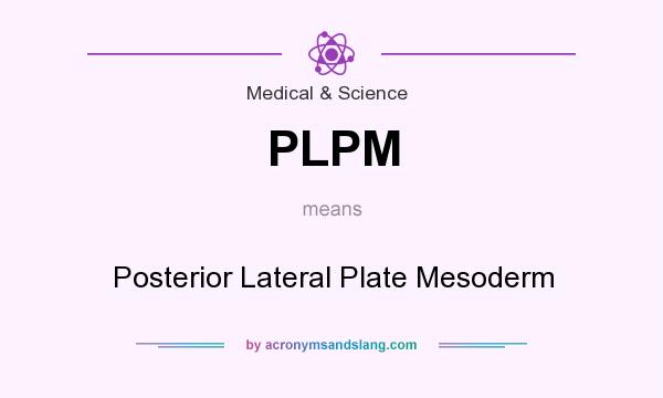 What does PLPM mean? It stands for Posterior Lateral Plate Mesoderm