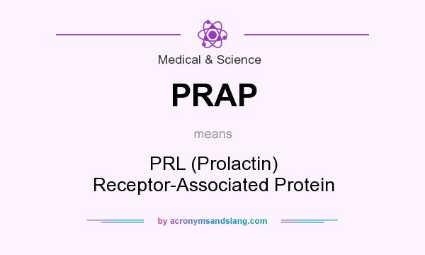 What does PRAP mean? It stands for PRL (Prolactin) Receptor-Associated Protein