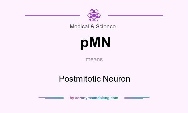 What does pMN mean? It stands for Postmitotic Neuron