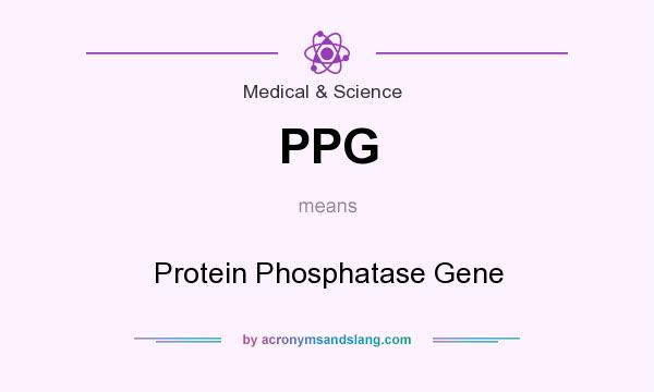 What does PPG mean? It stands for Protein Phosphatase Gene
