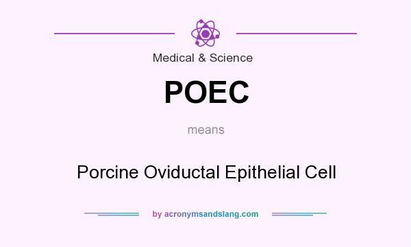 What does POEC mean? It stands for Porcine Oviductal Epithelial Cell