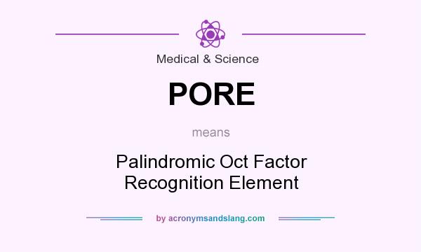 What does PORE mean? It stands for Palindromic Oct Factor Recognition Element