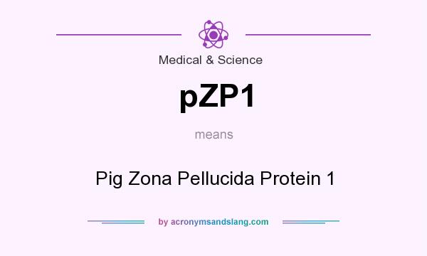 What does pZP1 mean? It stands for Pig Zona Pellucida Protein 1