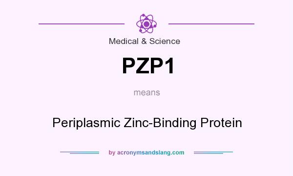 What does PZP1 mean? It stands for Periplasmic Zinc-Binding Protein