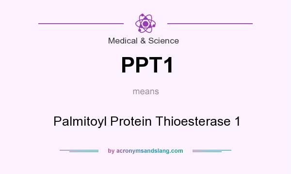 What does PPT1 mean? It stands for Palmitoyl Protein Thioesterase 1