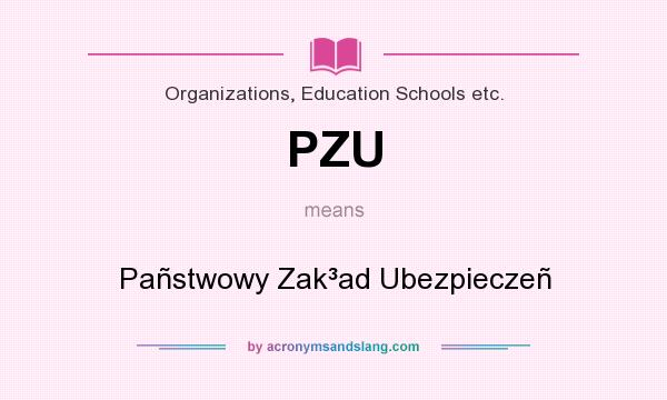 What does PZU mean? It stands for Pañstwowy Zak³ad Ubezpieczeñ