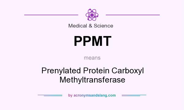 What does PPMT mean? It stands for Prenylated Protein Carboxyl Methyltransferase