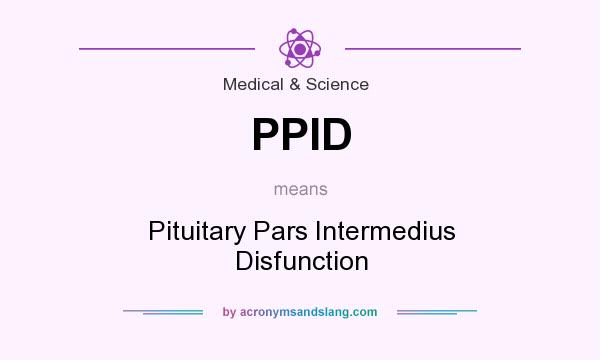 What does PPID mean? It stands for Pituitary Pars Intermedius Disfunction