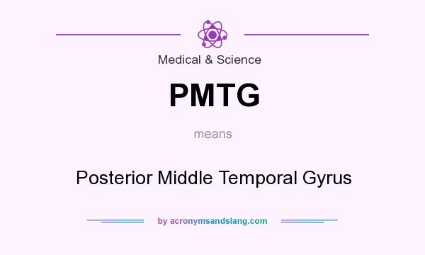 What does PMTG mean? It stands for Posterior Middle Temporal Gyrus
