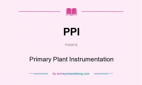 What does PPI mean? It stands for Primary Plant Instrumentation