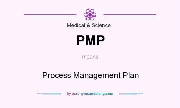 What does PMP mean? It stands for Process Management Plan