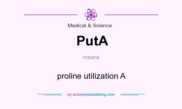 What does PutA mean? It stands for proline utilization A