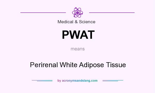 What does PWAT mean? It stands for Perirenal White Adipose Tissue
