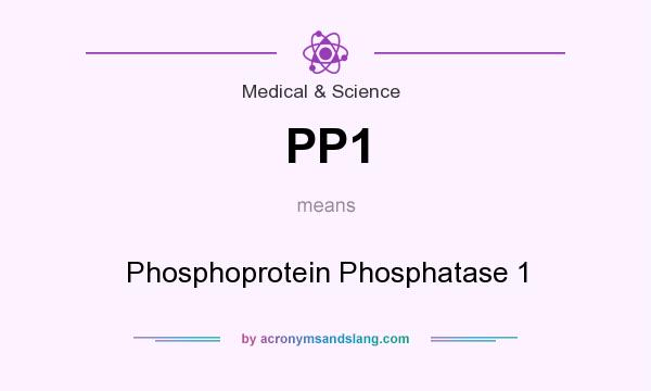 What does PP1 mean? It stands for Phosphoprotein Phosphatase 1