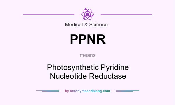 What does PPNR mean? It stands for Photosynthetic Pyridine Nucleotide Reductase