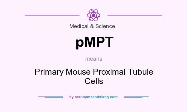 What does pMPT mean? It stands for Primary Mouse Proximal Tubule Cells