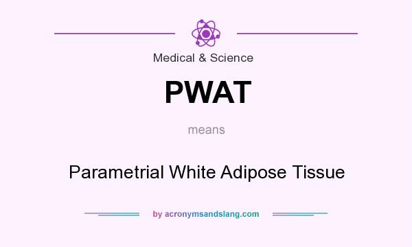 What does PWAT mean? It stands for Parametrial White Adipose Tissue