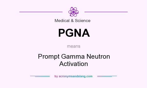 What does PGNA mean? It stands for Prompt Gamma Neutron Activation