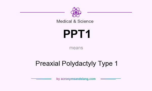 What does PPT1 mean? It stands for Preaxial Polydactyly Type 1