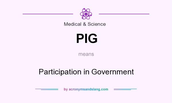 What does PIG mean? It stands for Participation in Government