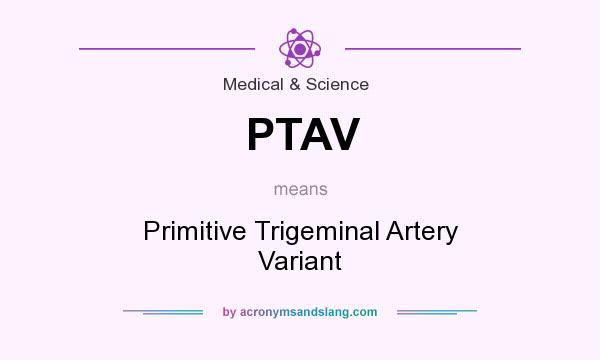 What does PTAV mean? It stands for Primitive Trigeminal Artery Variant