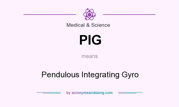 What does PIG mean? It stands for Pendulous Integrating Gyro