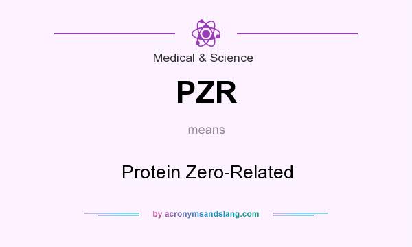 What does PZR mean? It stands for Protein Zero-Related