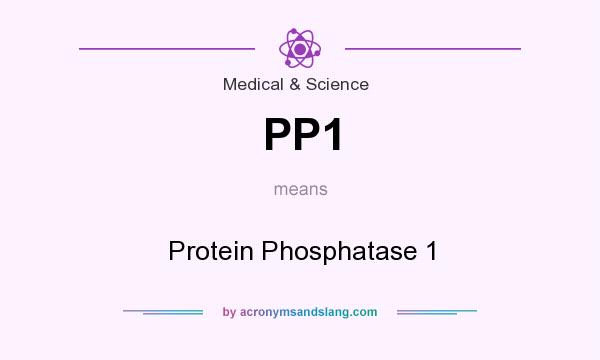 What does PP1 mean? It stands for Protein Phosphatase 1