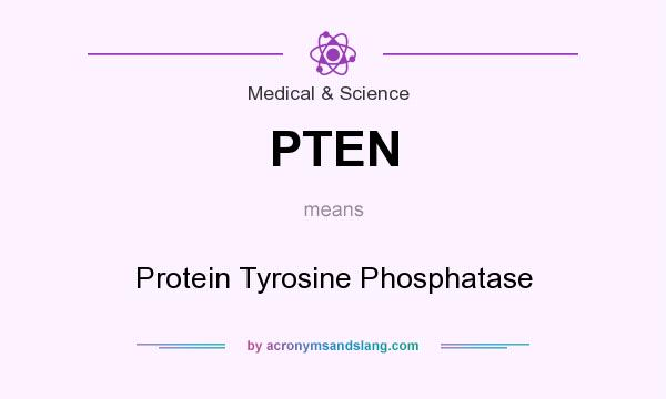 What does PTEN mean? It stands for Protein Tyrosine Phosphatase
