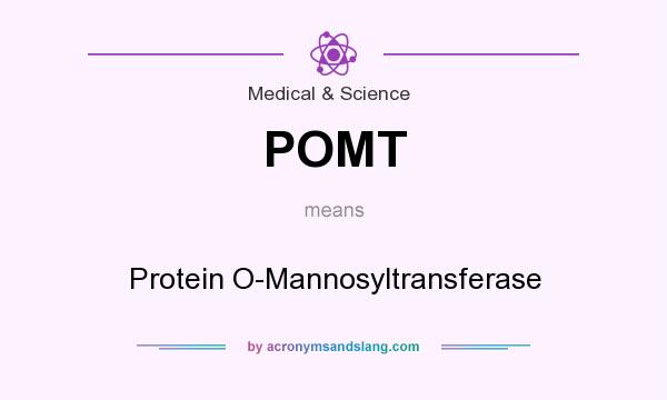 What does POMT mean? It stands for Protein O-Mannosyltransferase