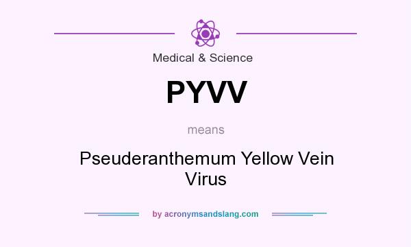 What does PYVV mean? It stands for Pseuderanthemum Yellow Vein Virus