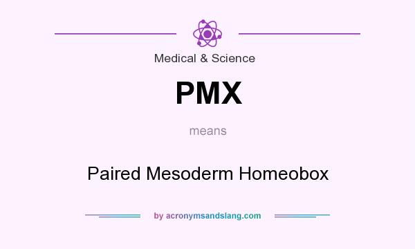 What does PMX mean? It stands for Paired Mesoderm Homeobox