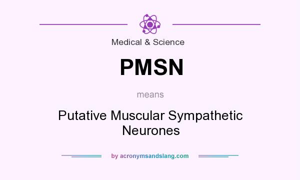 What does PMSN mean? It stands for Putative Muscular Sympathetic Neurones