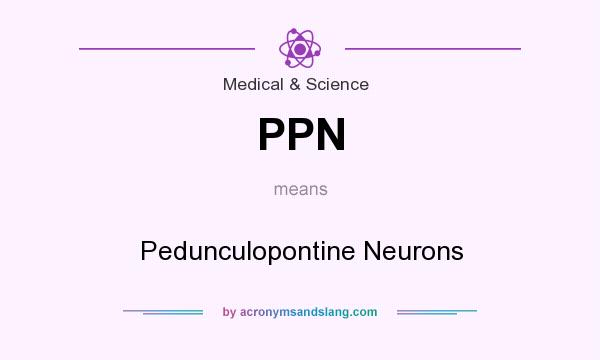 What does PPN mean? It stands for Pedunculopontine Neurons