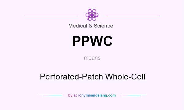 What does PPWC mean? It stands for Perforated-Patch Whole-Cell