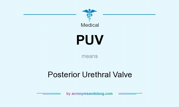 What does PUV mean? It stands for Posterior Urethral Valve