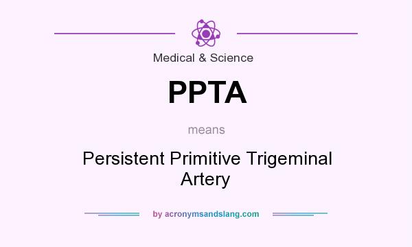 What does PPTA mean? It stands for Persistent Primitive Trigeminal Artery