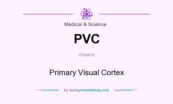 What does PVC mean? It stands for Primary Visual Cortex