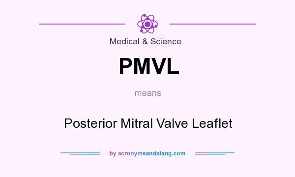 What does PMVL mean? It stands for Posterior Mitral Valve Leaflet